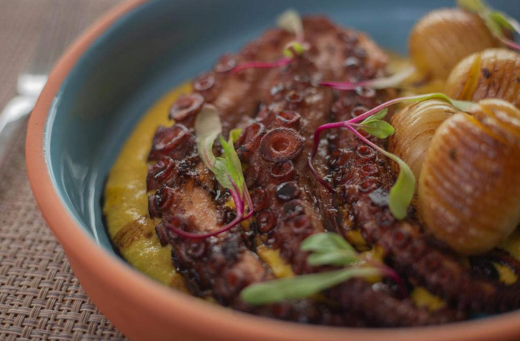 Estetycznie podana grillowana ośmiornica na niebieskim talerzu, danie kuchni śródziemnomorskiej.