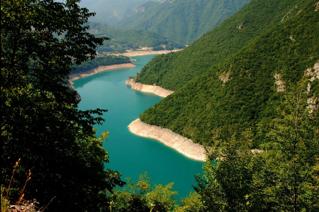 Jezioro Piva o intensywnym turkusowym kolorze, otoczone bujną zieloną roślinnością i majestatycznymi górami w tle.